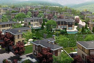 zekeriyakoy-ormanada